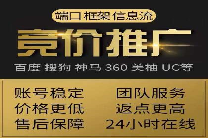SEO技术突破：某网站流量暴增的背后故事